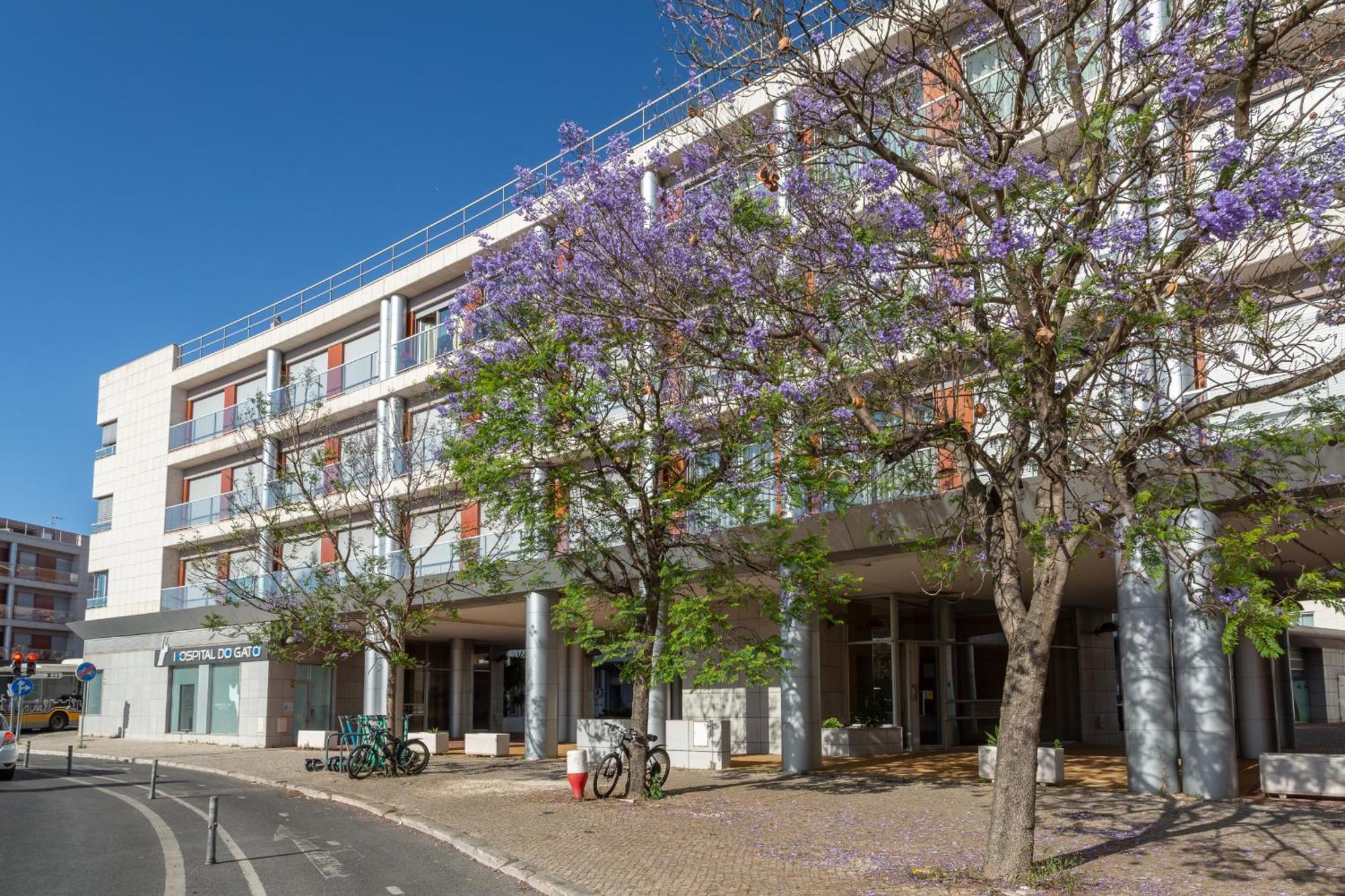 Beguest Premium Lisbon Suites المظهر الخارجي الصورة